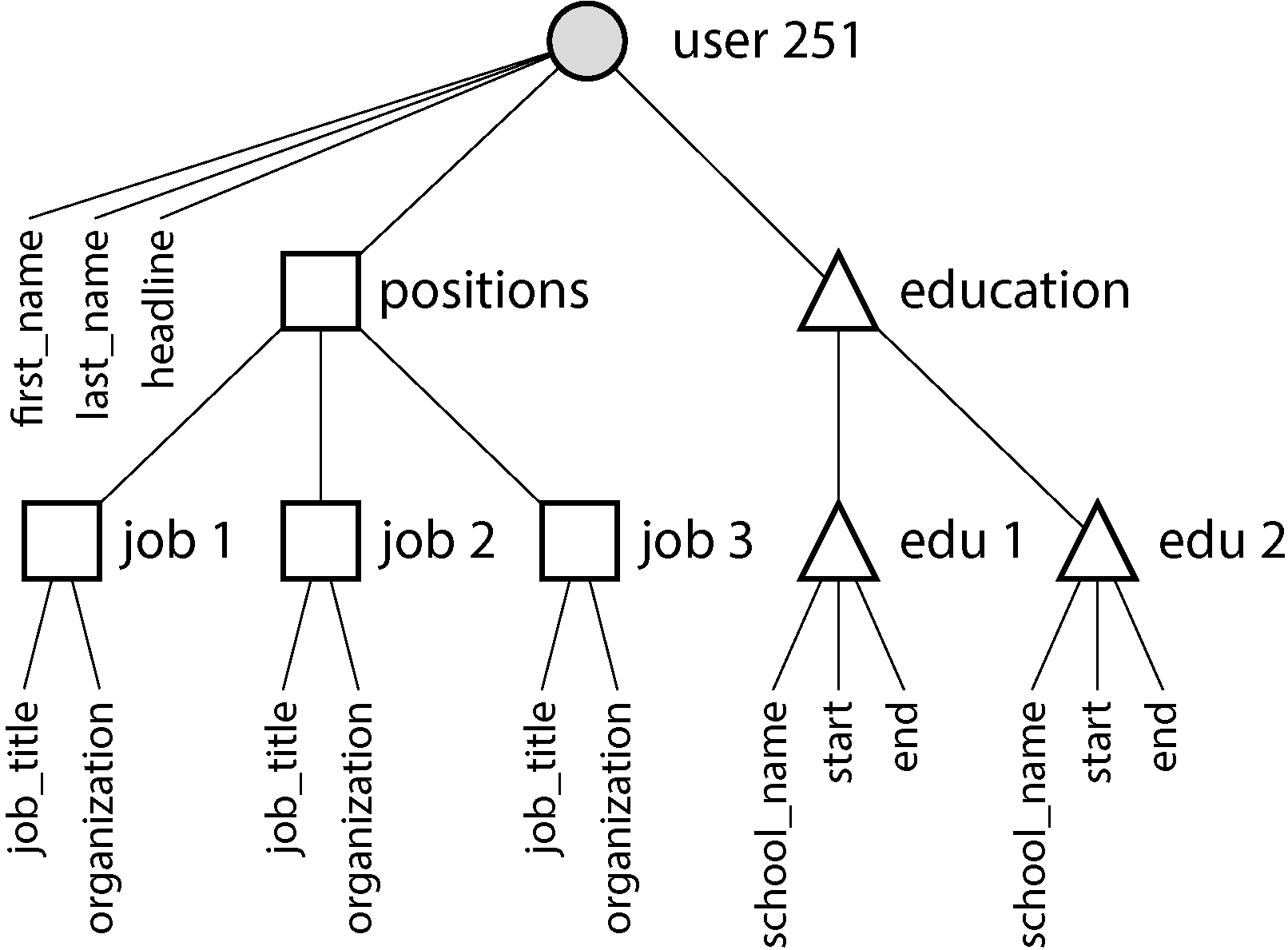 Diagram illustrating a tree structure showing one-to-many relationships between a user profile and various attributes like positions and educational history.
